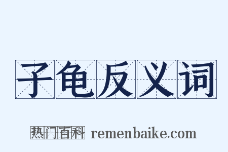 子龟反义词是什么意思的图片